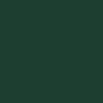Moss green RAL6005