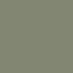 Oliiv RAL6013