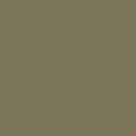 Reed green RAL6013
