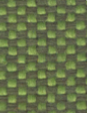 9703 (MAYA)