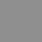 Hall (RAL 9007)
